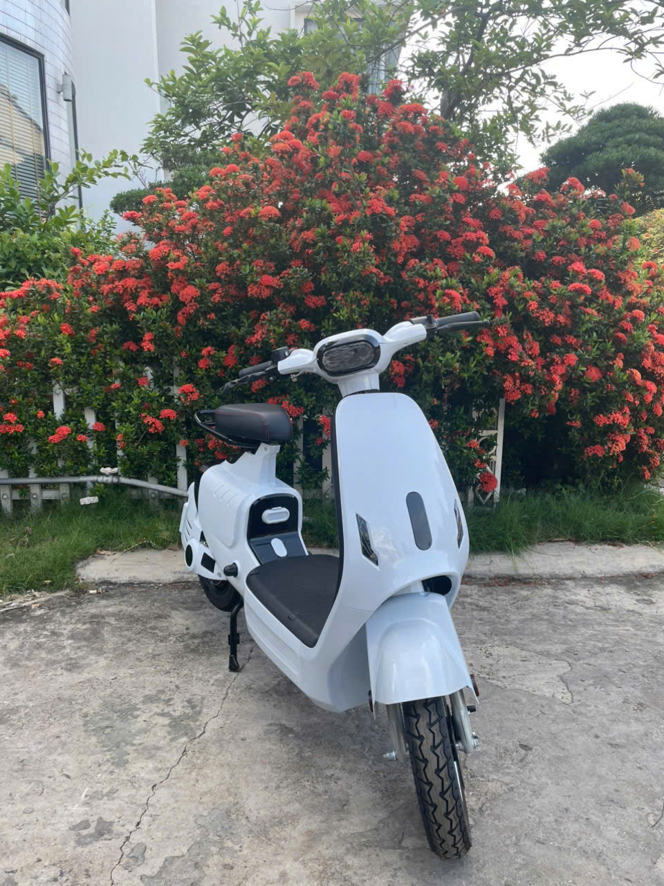 Ảnh Xe điện VC plus có bàn đạp