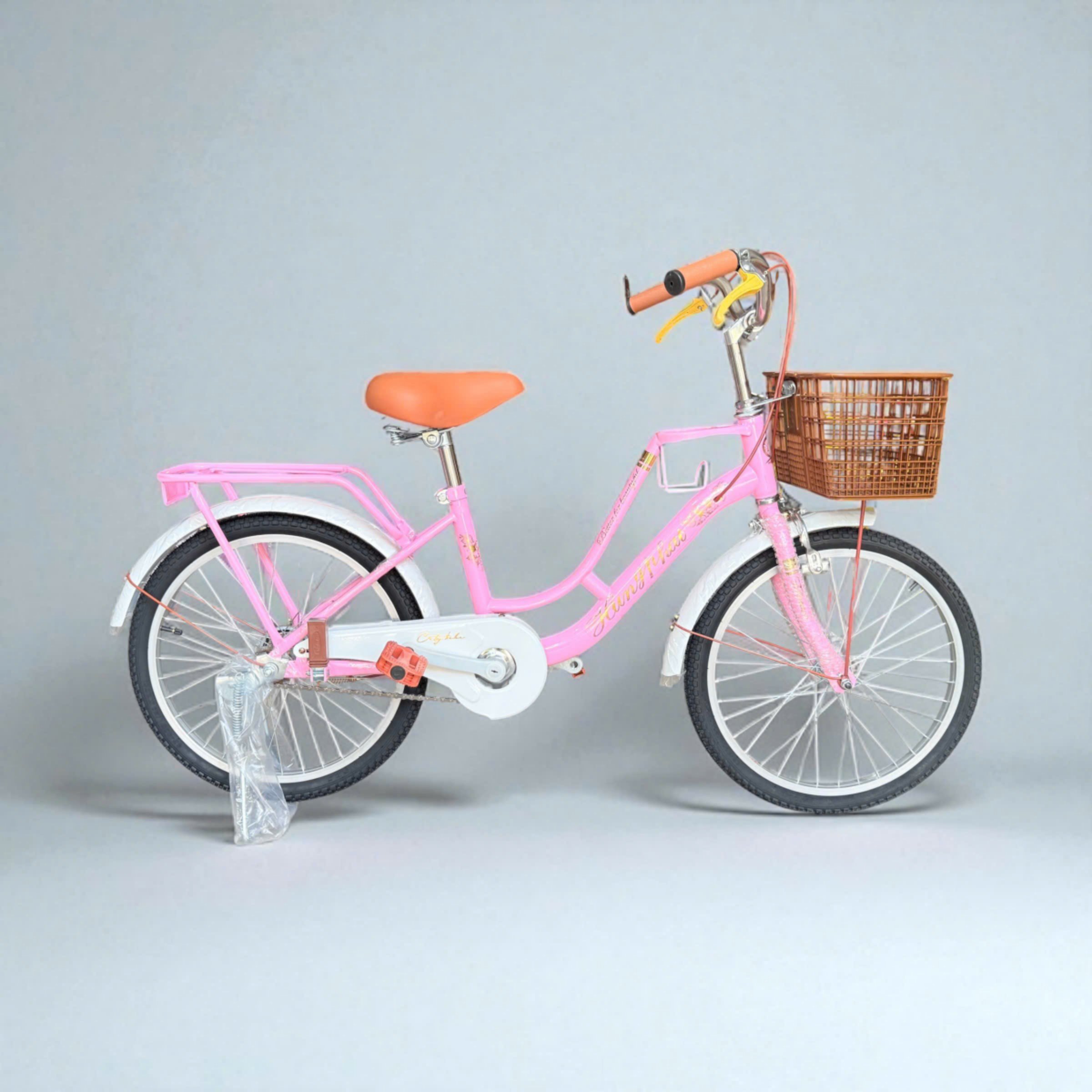 Xe đạp mini bình nước hàng Việt Nam lắp ráp