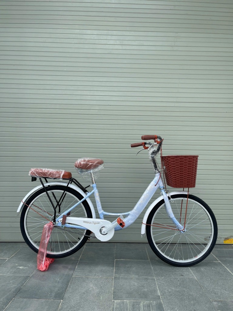 Ảnh Xe đạp mini S nữ hàng Việt Nam lắp ráp càng đen
