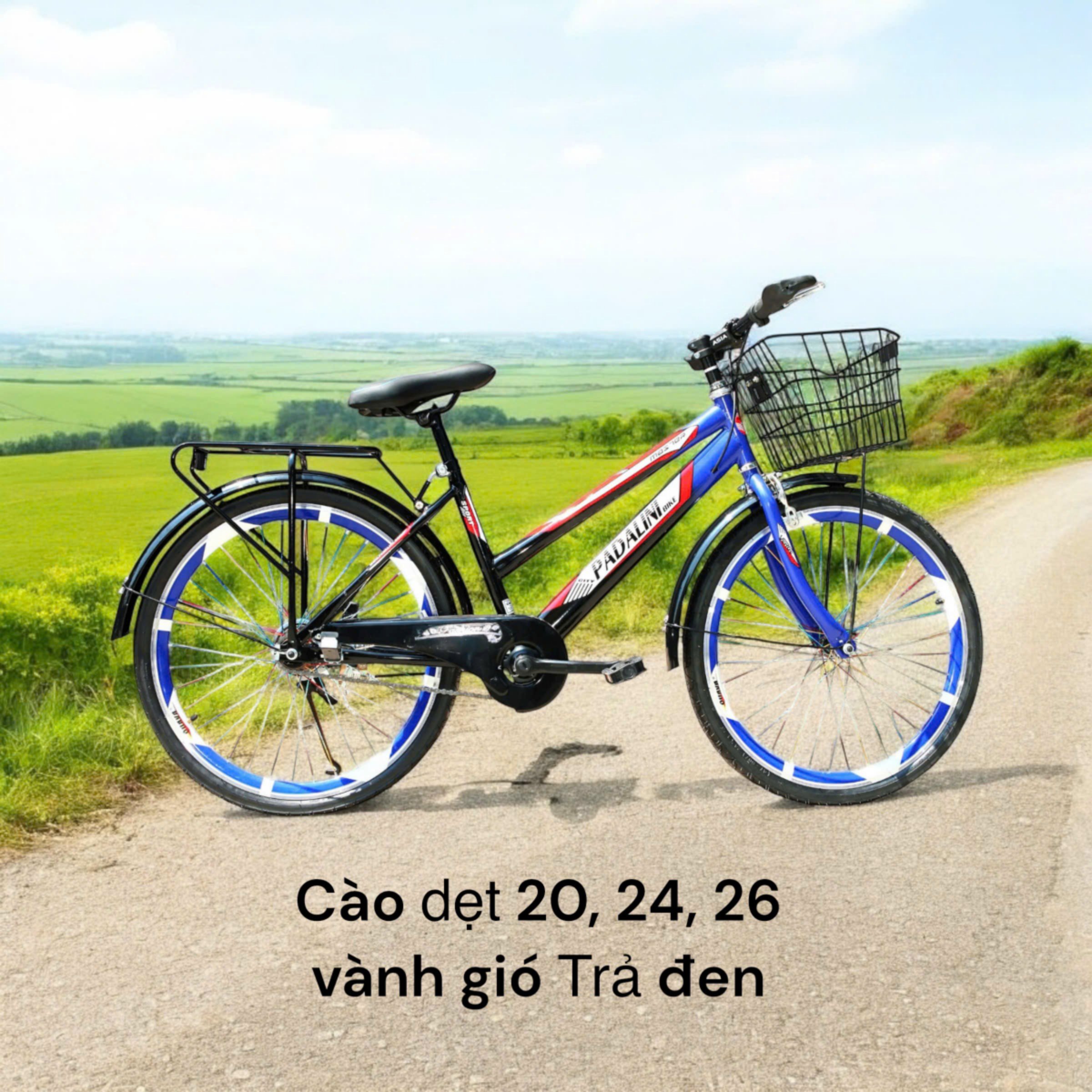 Xe đạp nam dẹt hàng Việt Nam lắp ráp có giỏ vành gió