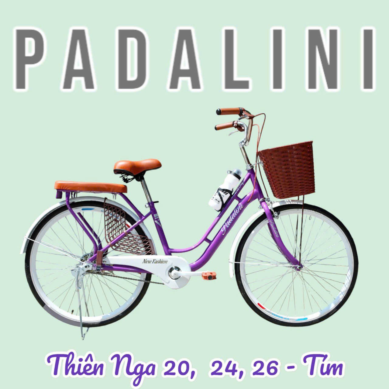 Ảnh Xe đạp nữ Thiên Nga hàng Việt Nam lắp ráp