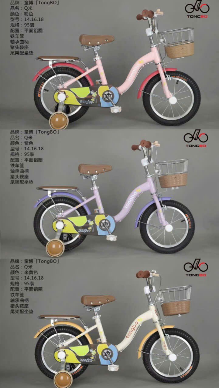 Ảnh Xe đạp nữ TONGBO 1 dóng