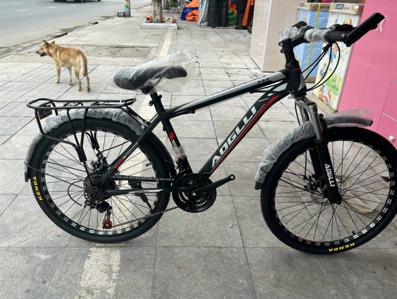 Ảnh Xe đạp thể thao AOGLI 110