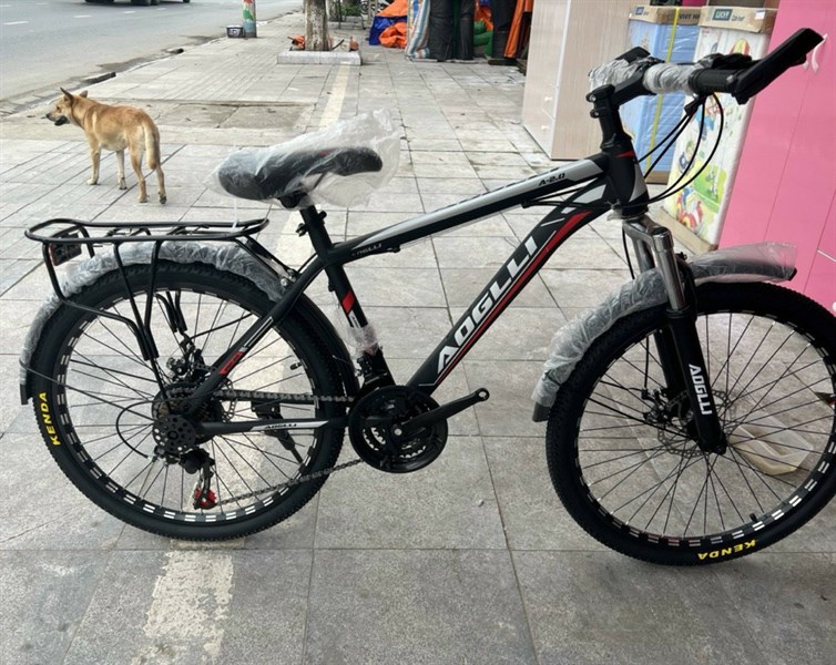Xe đạp thể thao AOGLI 110