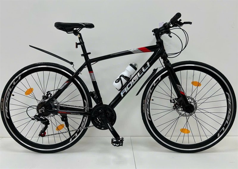 Xe đạp thể thao AOGLI A118