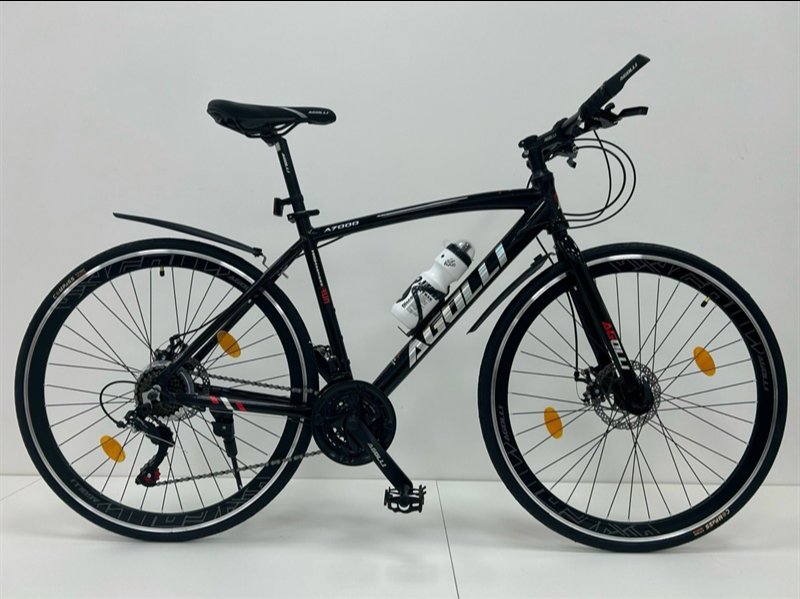 Xe đạp thể thao AOGLI A121